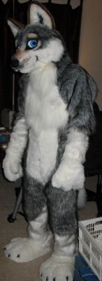 TerkWolf1519.jpg