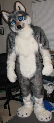 TerkWolf1522.jpg