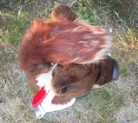 Anonymotter's Headfur
