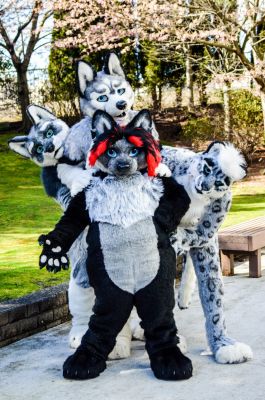 VancouFur 2016
