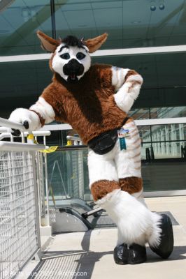 ac2006_akitainus_249.jpg