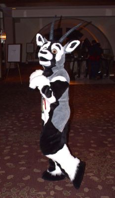 ac2006_orzel_143.jpg
