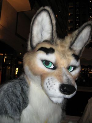 Jingo (Jackel + Dingo)
Jingo (Jackel + Dingo)
Keywords: Jingo Jackel Dingo gaza