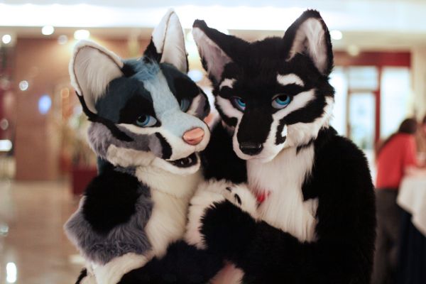 Hydrox
Hydrox
Keywords: Hydrox fox wolf hybrid folf Nachtfuchs
