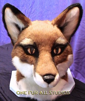 fayfox-head1.jpg