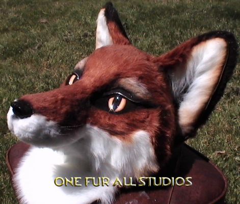 fayfox-head11.jpg