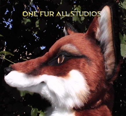 fayfox-head8.jpg