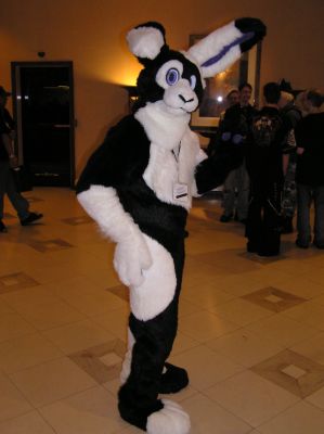 fc2006_frysco_016.jpg
