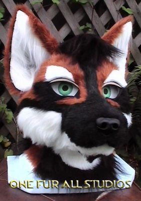 Zeke - frontal shot
The colors on this suit were especially interesting.   They underwent some modification durring the building stage; I think the end result was well worth it.  
