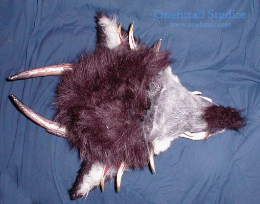 head-bottom.jpg