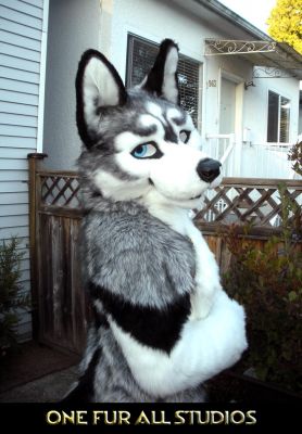 ioco-fullsuit-1.jpg