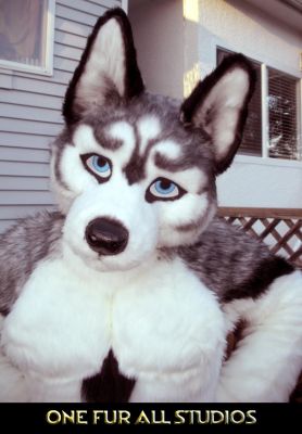 ioco-fullsuit-6.jpg