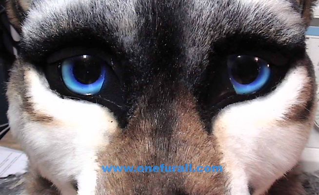 I was very pleased with how her eyes turned out.  She asked for a specific combination of blues.  The result turned out to be very pretty
