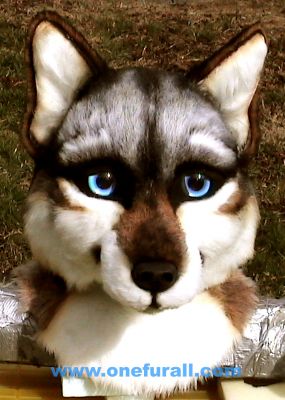 latin-wolf7.jpg