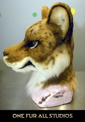 liger-head-full4.jpg
