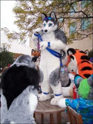 mff2007_navajo_057_disp512.jpg