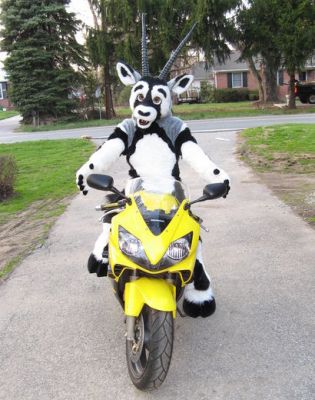 oryx_cbr.jpg