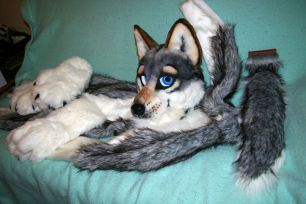terkwolf-wholesuit3.jpg