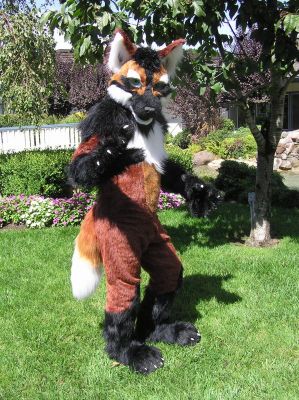 Zeke
There are a lot more different furs on this suit then you might guess.  There are 6 different types of black, two reds, and three types of white.  The main red is especially nice - by complete fluke it has an almost 4 way stretch.  

My favorite part was watching the longer furs billowing in the breeze.  Zeke has a really lifelike feel.
