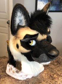 Nitro Shep.jpg-large